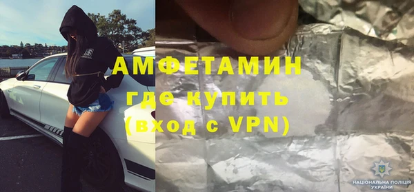 шишки Абаза