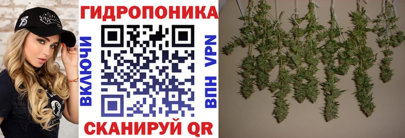 Канабис VHQ Яблоновский